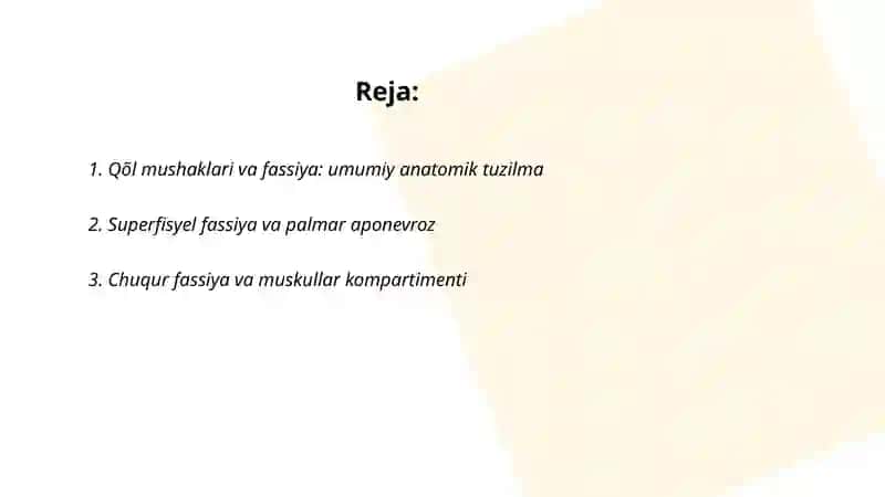 Qõl mushaklari va fassiya 2