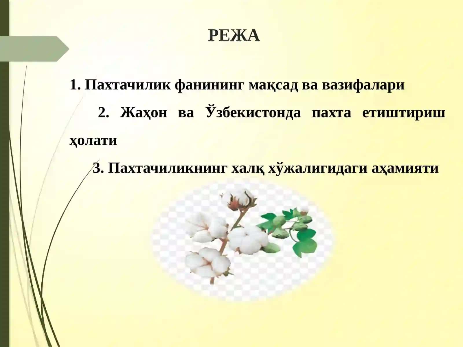 Пахтачилик фани 2