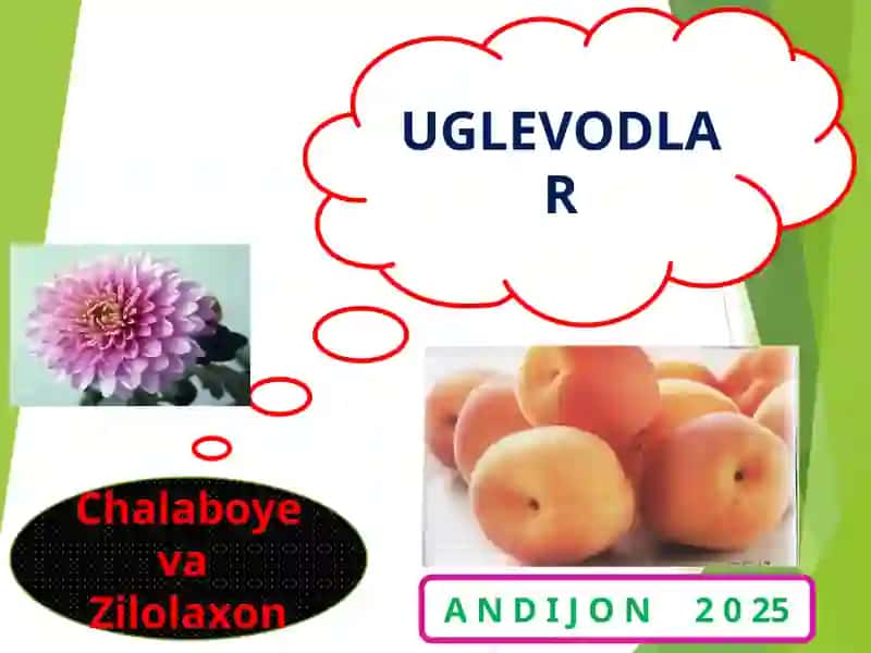 UGLEVODLAR 2
