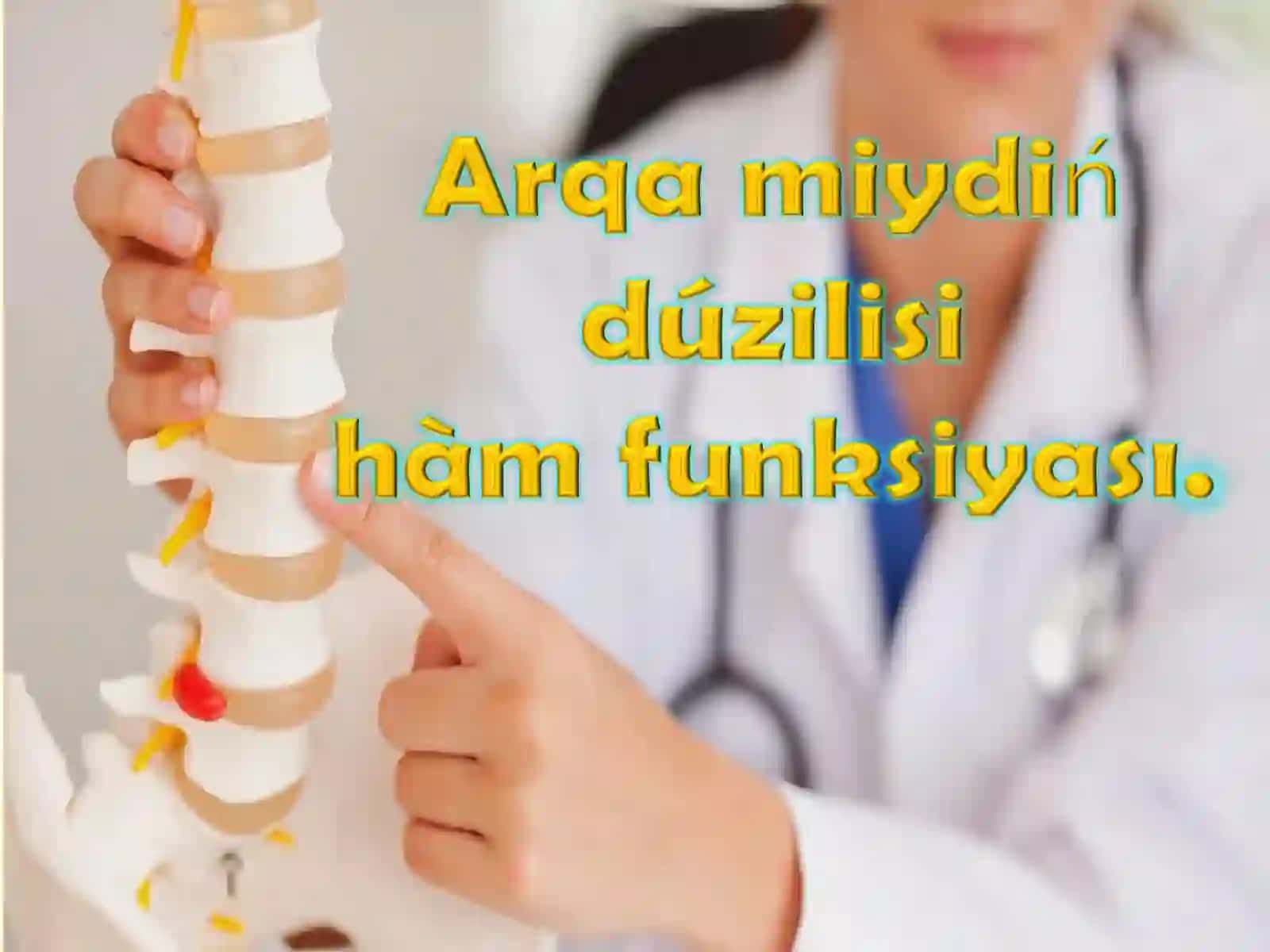 Omırtqa baġanası 2