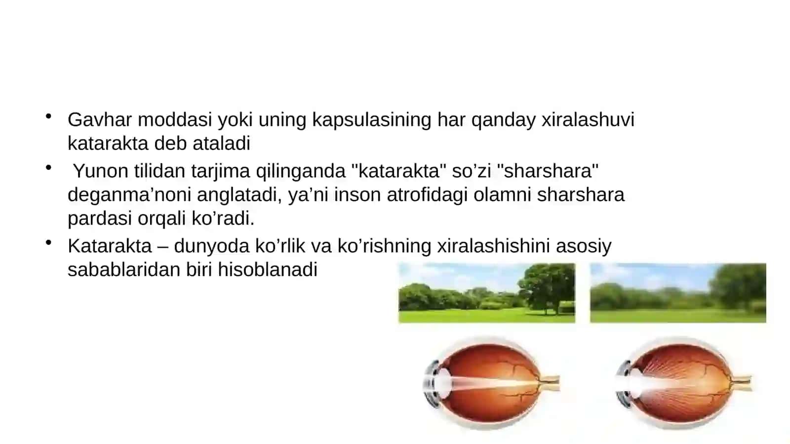 KATARAKTALAR 2