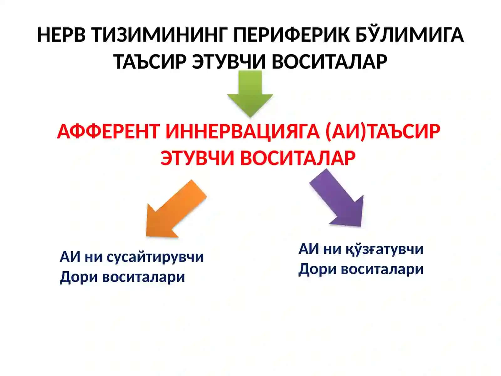 АФФЕРЕНТ ИННЕРВАЦИЯГА ТАЪСИР ЭТУВЧИ ВОСИТАЛАР 2