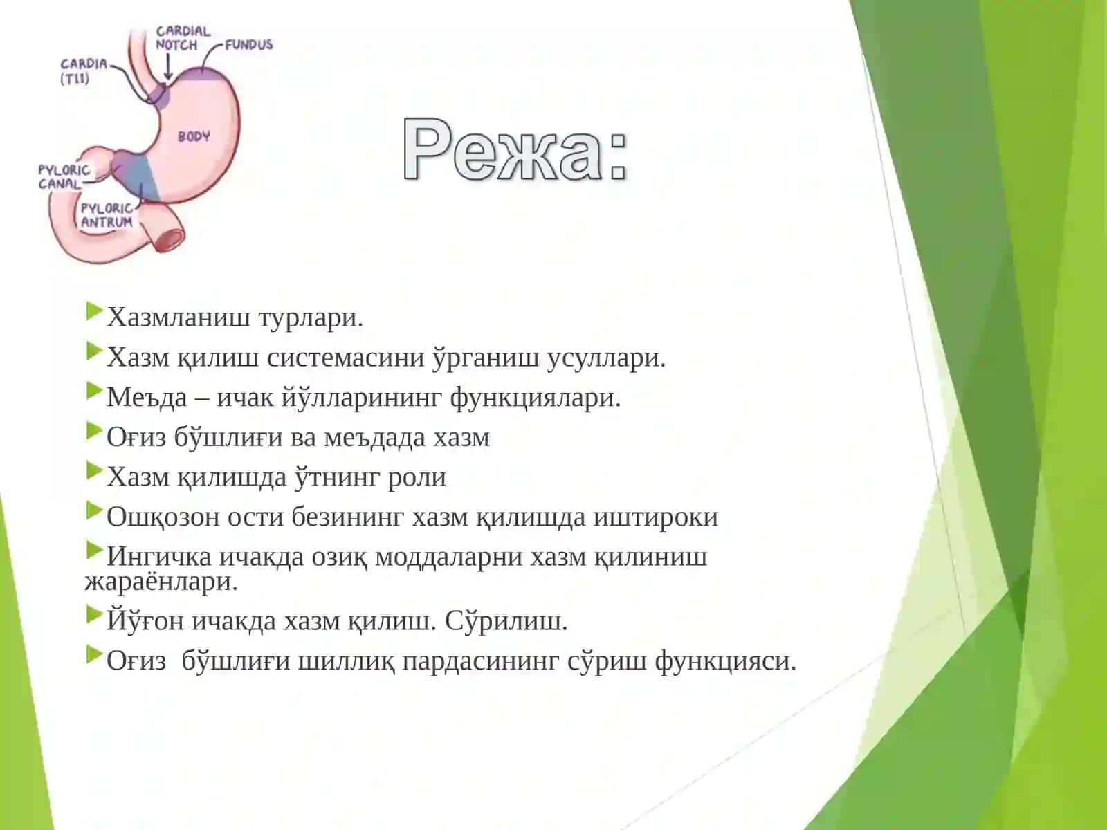 Хазм ва унинг турлари 2