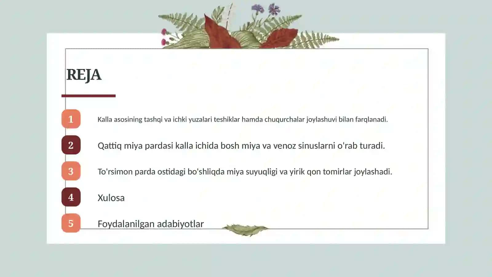 Kalla asoslari, miya pardalari va pardalararo bo'shliqlar 2
