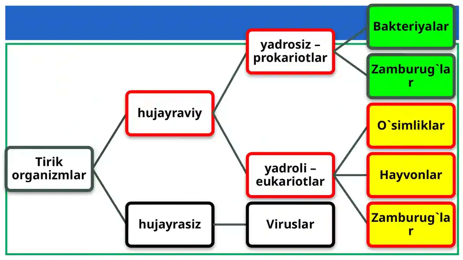 Viruslar 2