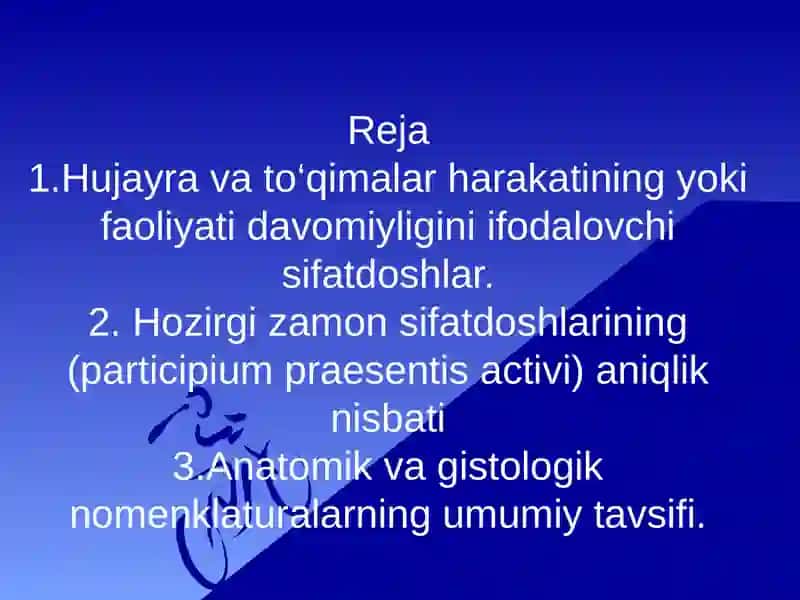Anatomik va gistologik nomenklaturalarida qo'llaniladigan hozirgi zamon sifatdoshining aniqlik nisbati 2