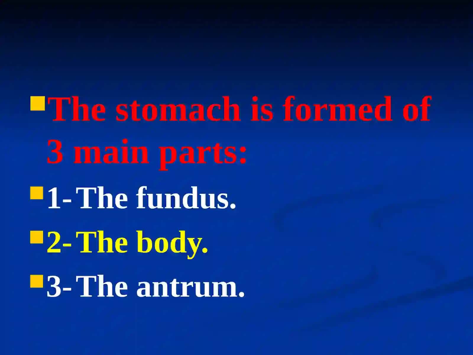 The stomach 2