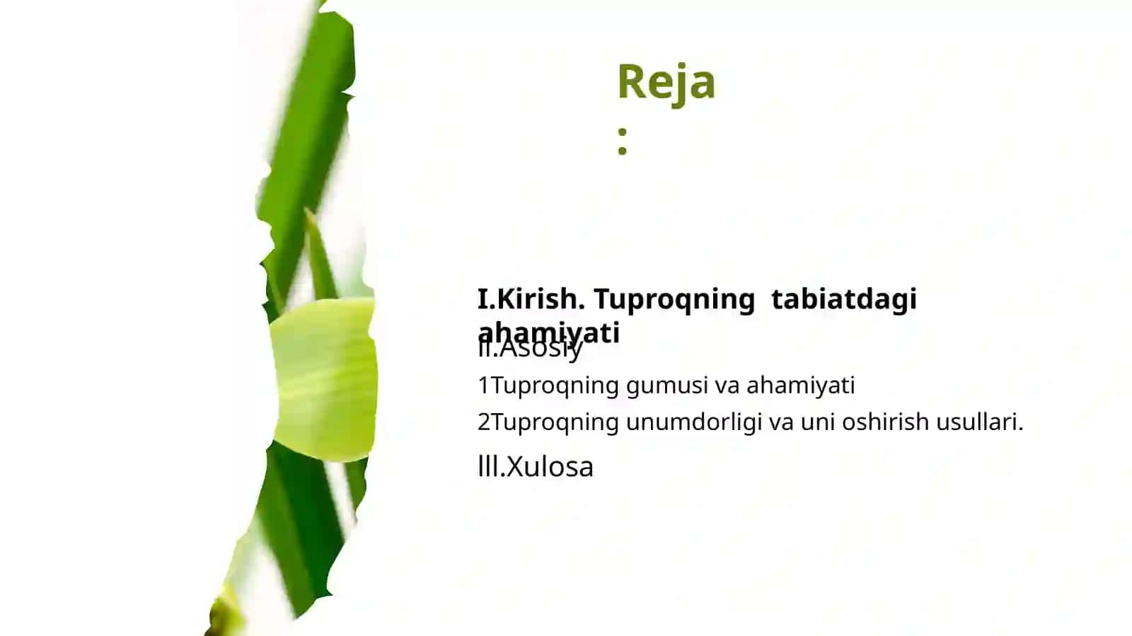Tuproq tarkibi(14slayd) 2