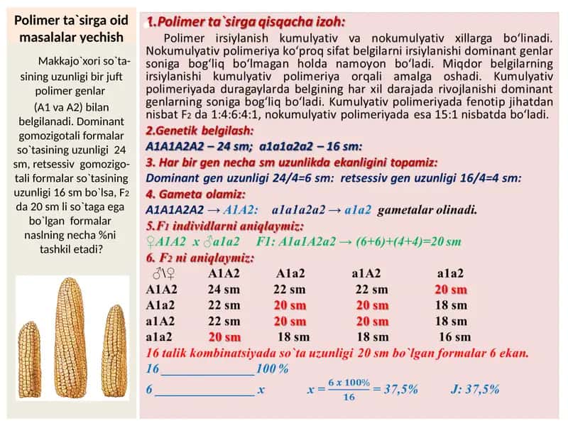 Polimer ta'siriga oid masalalar yechish 2