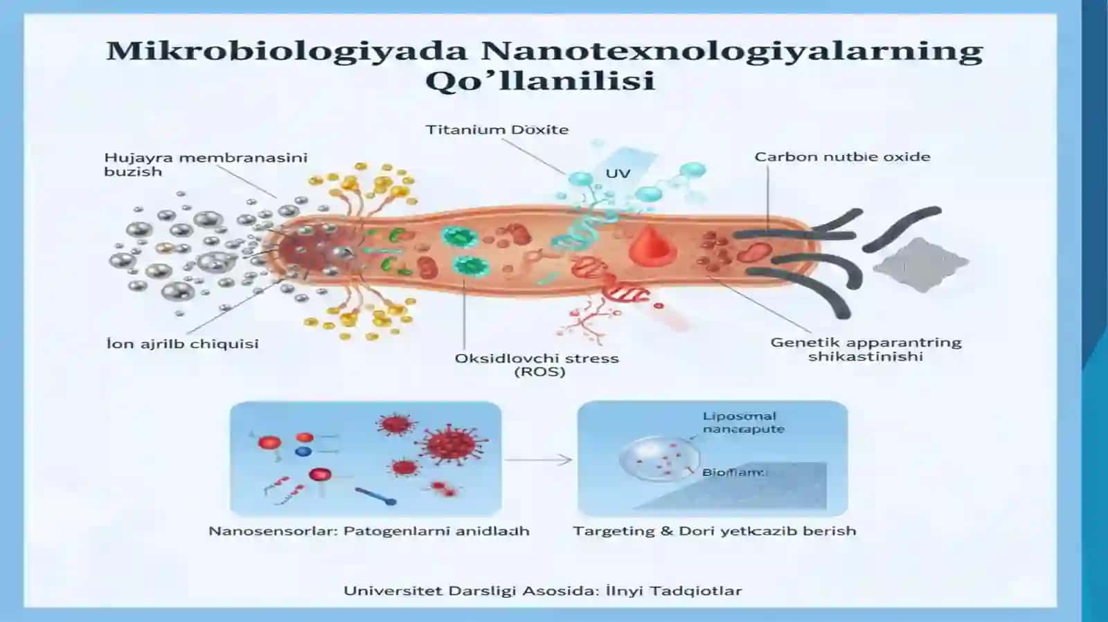 Mikrobiologiya modulida nanotexnologiyaning qo’llanishi taqdimot 2