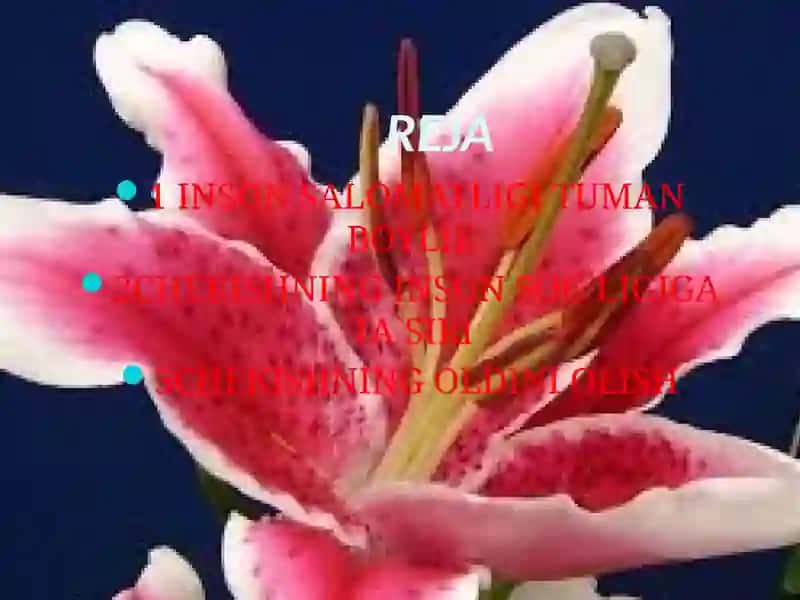 Chekishninginsonsog`lig`igata`siri 2