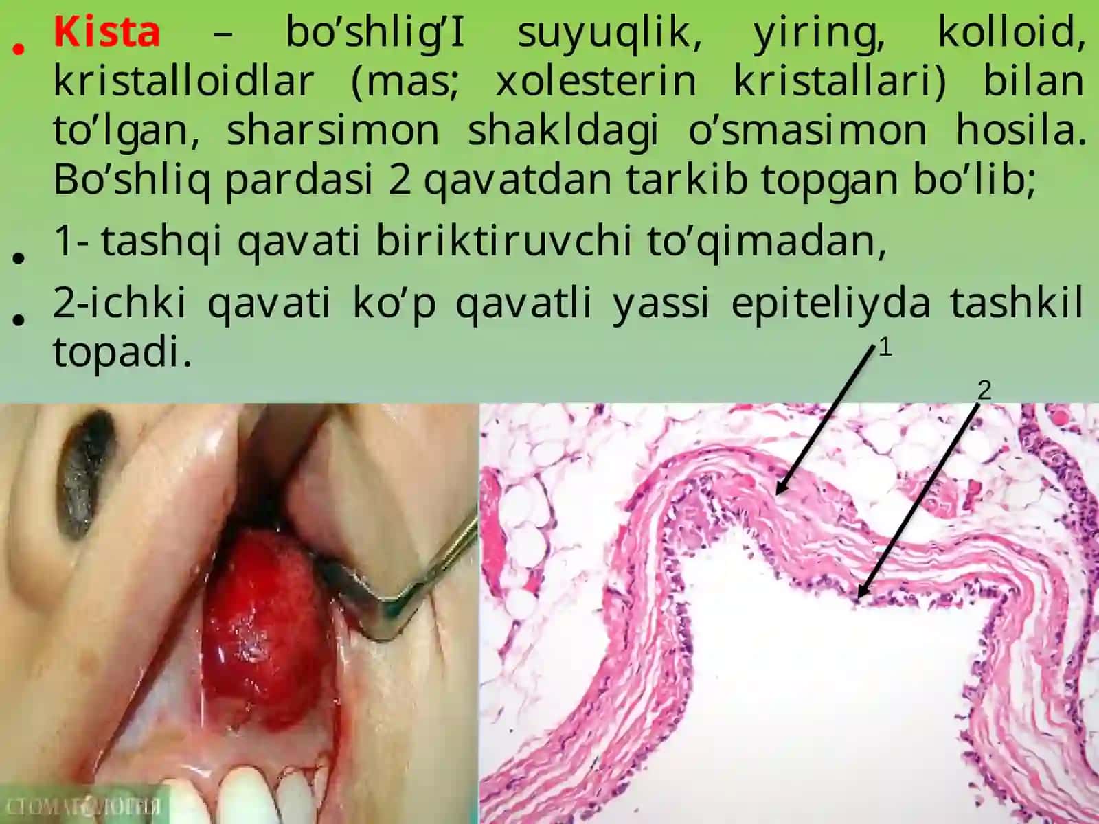 yuz jag‘ sohasi o‘smalari 2