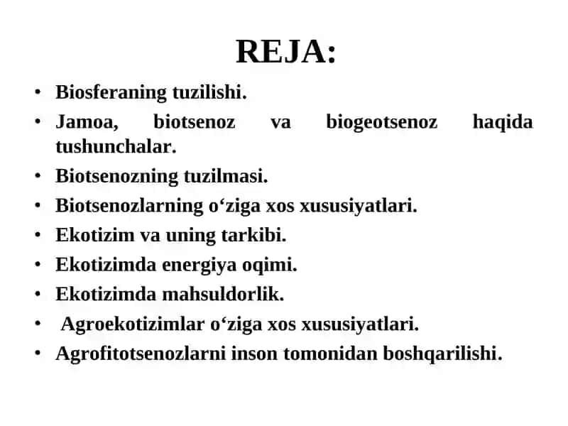 Biosferaning tuzilishi. Ekologik tizimni tuzilishi 2