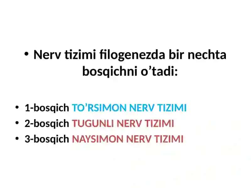Nerv tizimi filogenezda 2
