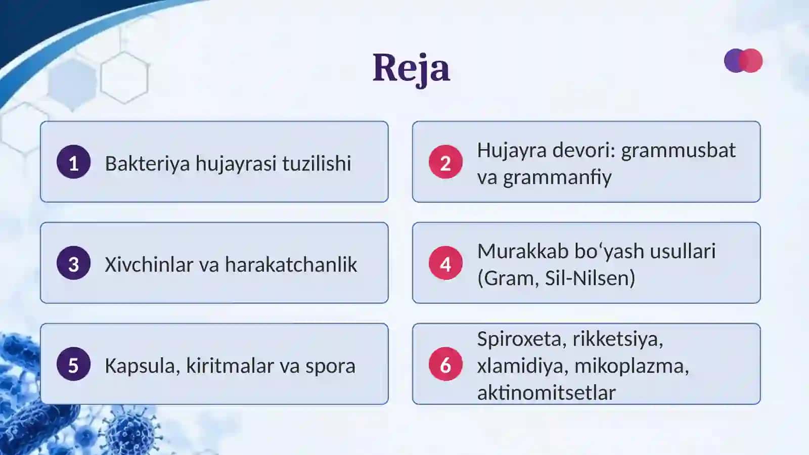 Bakteriya hujayrasi tuzilishi 2
