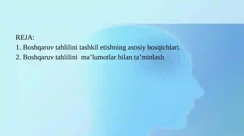Boshqaruv Tahlilini Tashkil Qilish va Uni Ma’lumotlar Bilan Ta’minlash 2