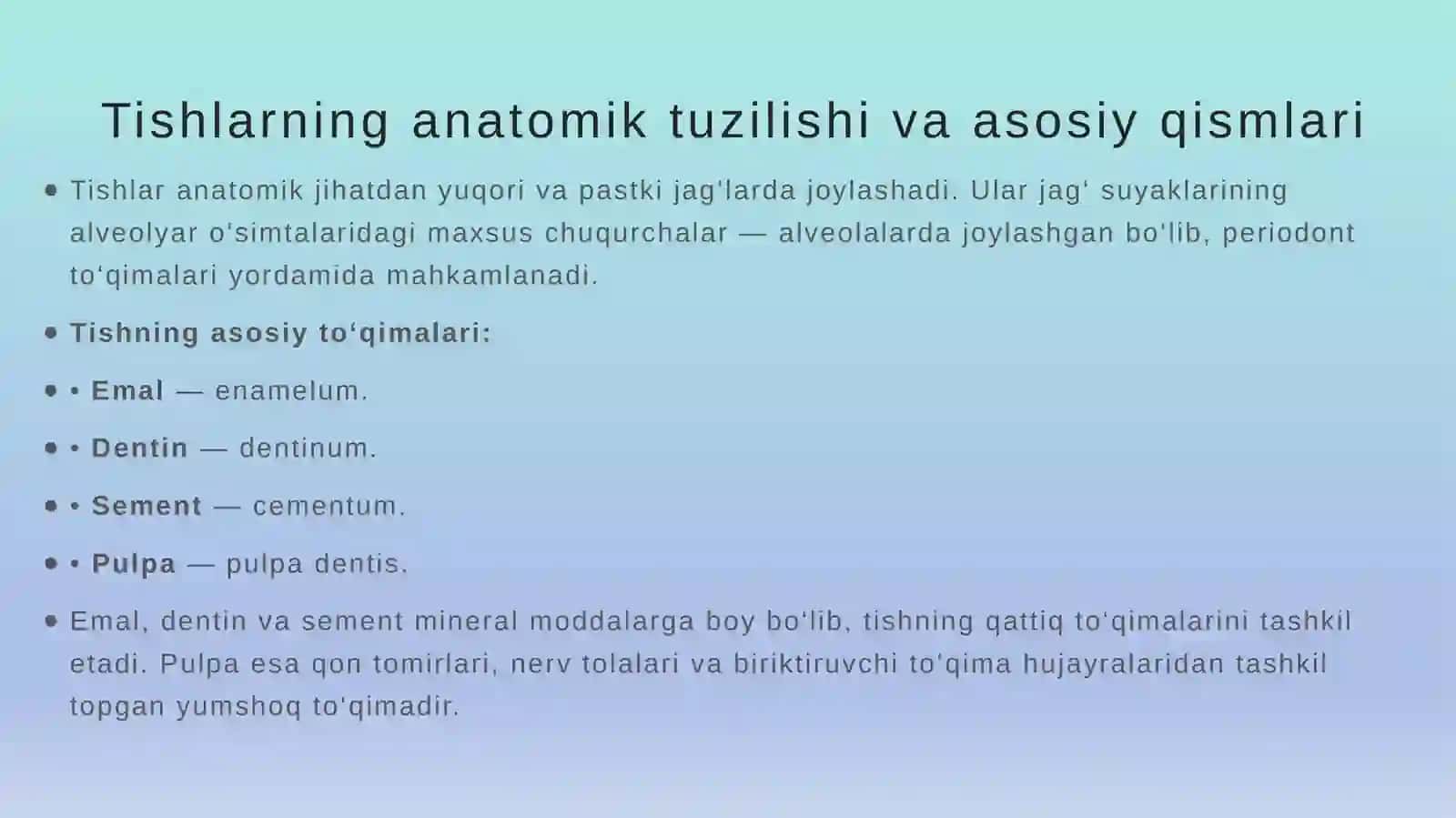 Tishlarning anatomik tuzilishi va asosiy qismlari 2