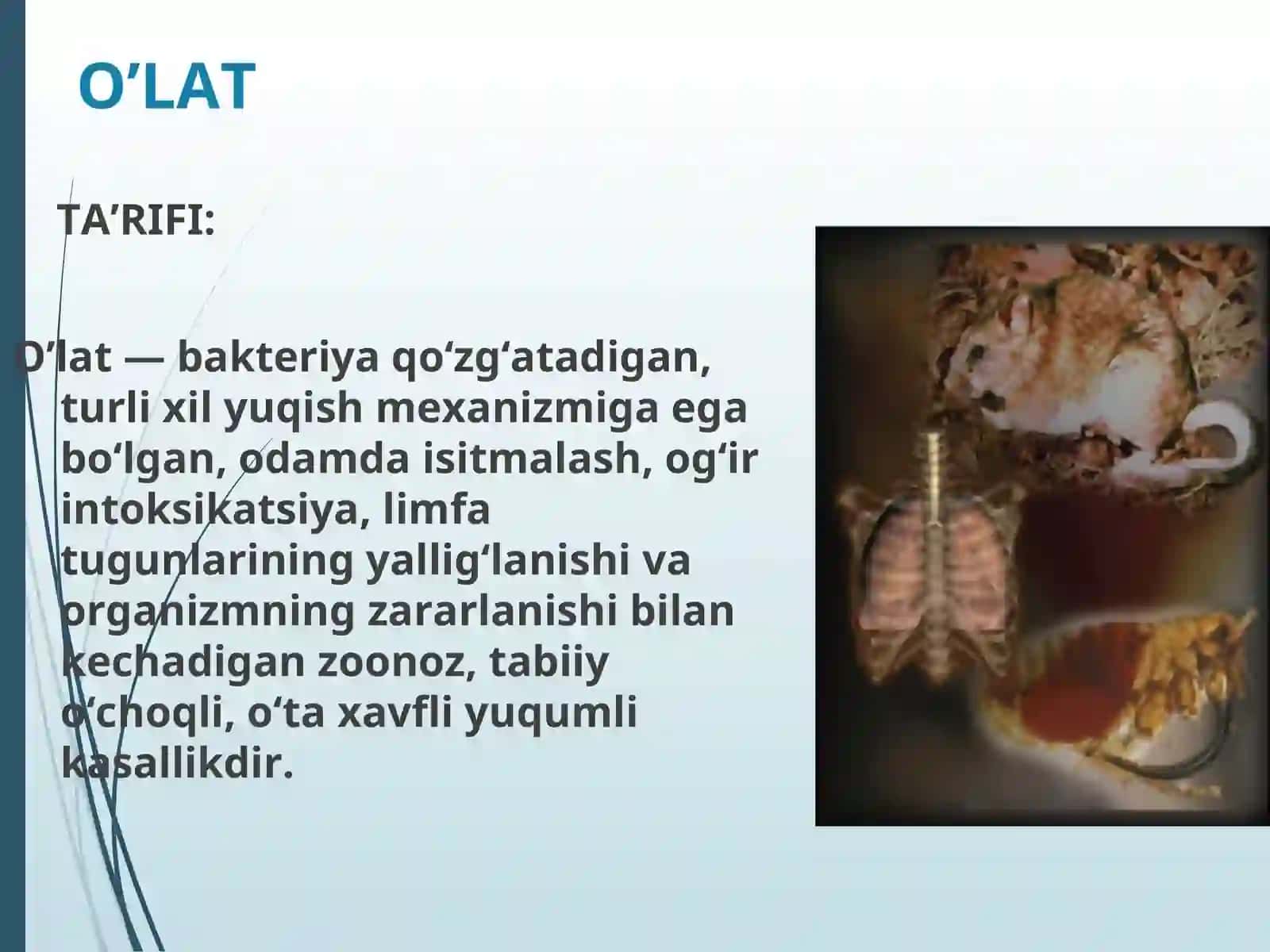 O’LAT 2