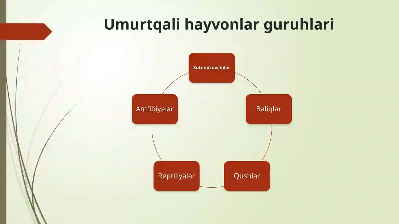 O’zbekistonda umurtqali hayvonlarni o’rganilish tarixi 2