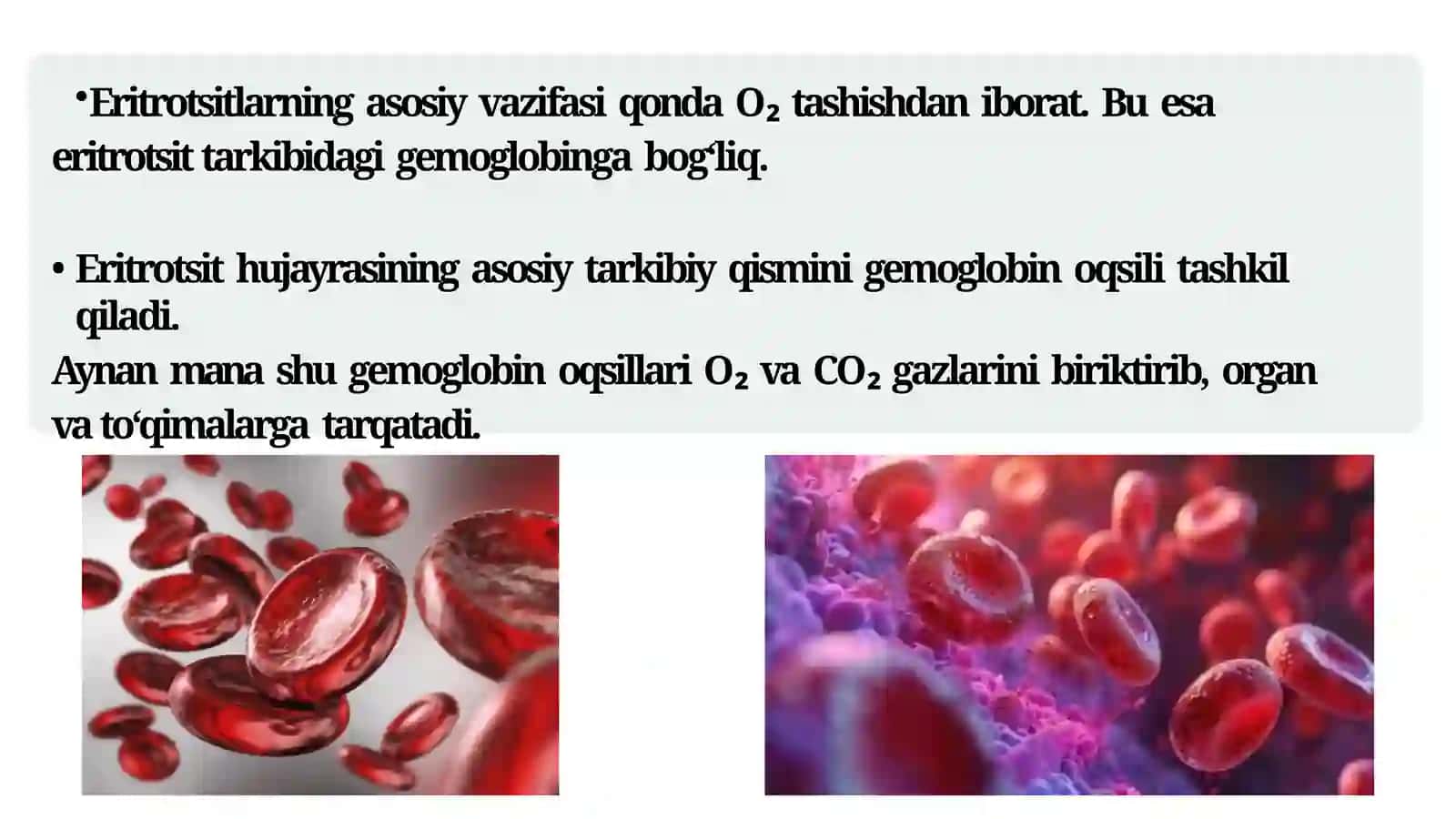 Gemoglobin 2