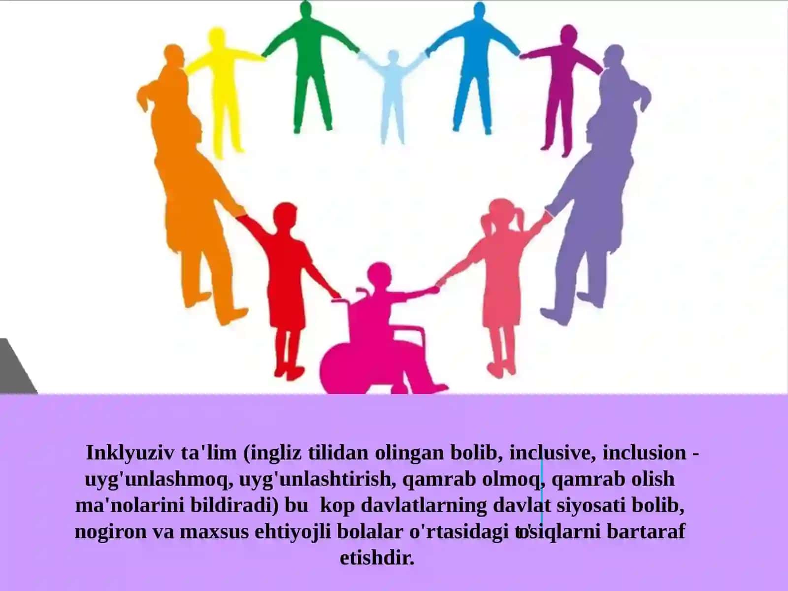 Inklyuziv ta'limga kiritishning asosiy tamoyillari 2