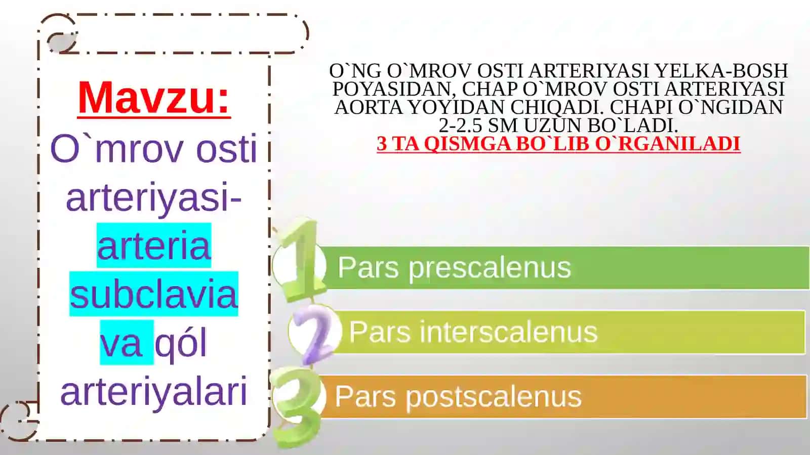 O`mrov osti arteriyasi-arteria subclavia va qól arteriyalari 2
