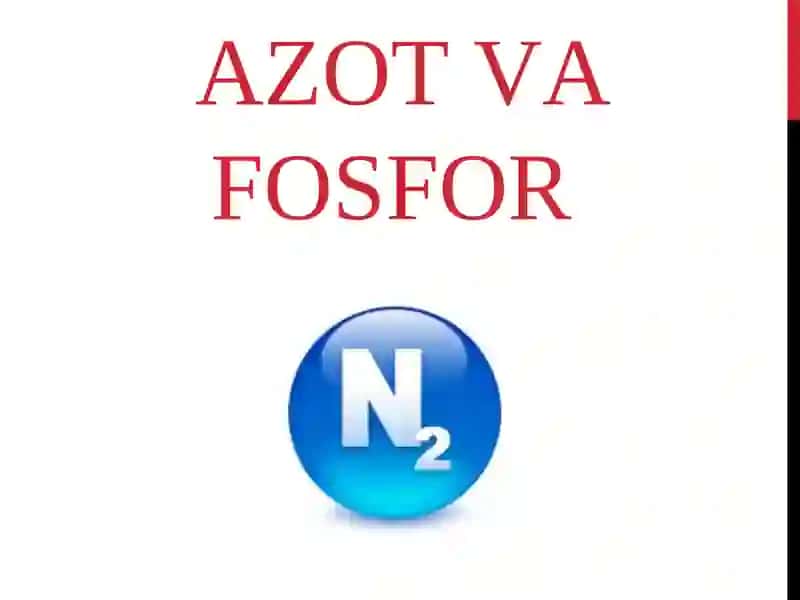 AZOT VA FOSFOR 2