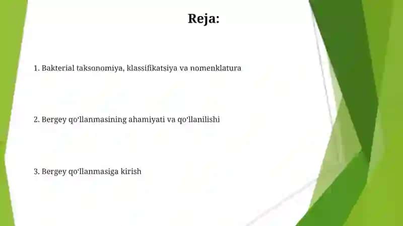 Bergey qo'llanmasi 2