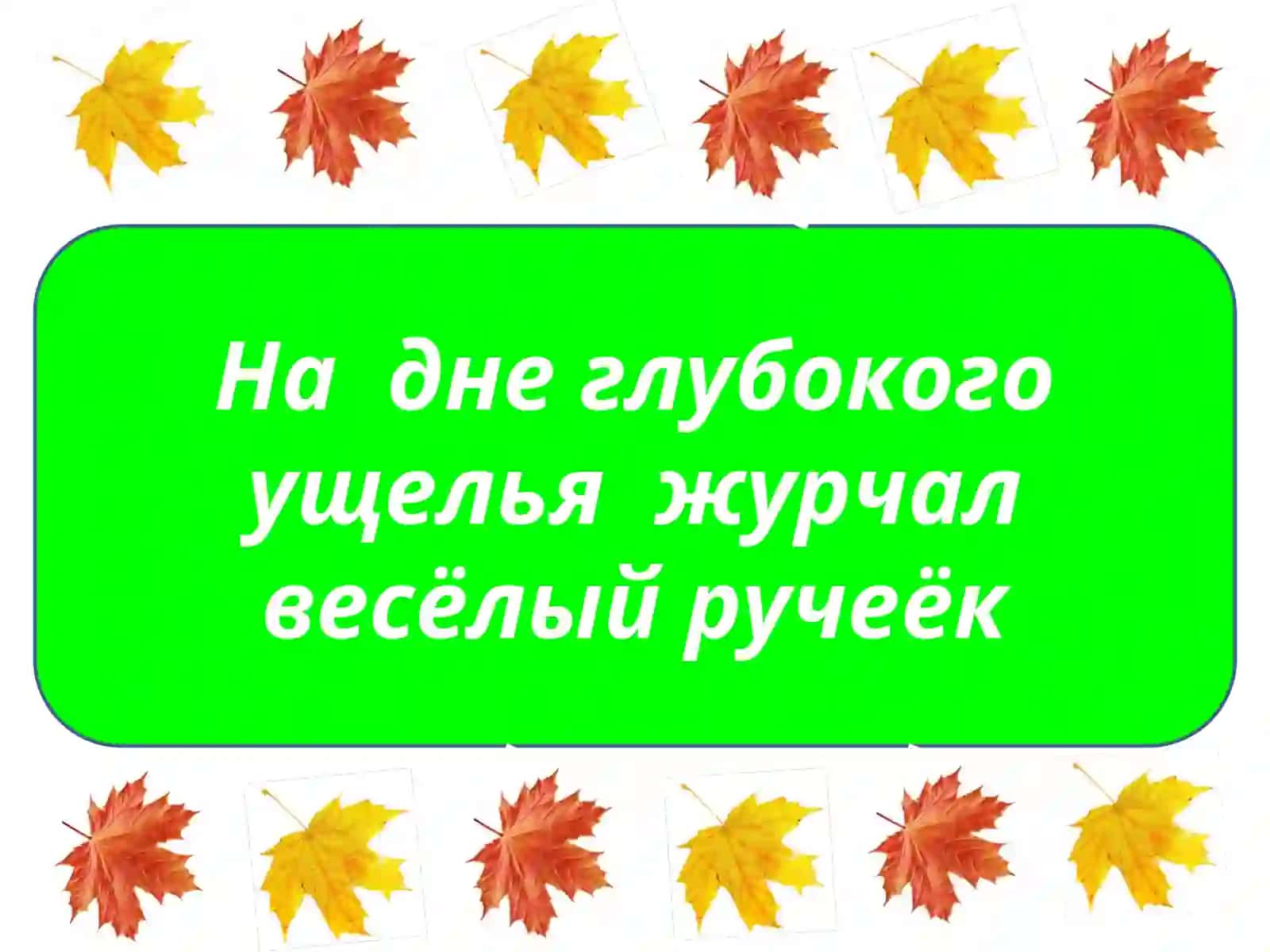 Лесная тропинка 2
