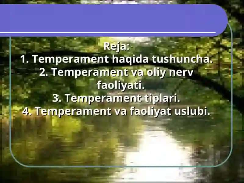Temperament va faoliyat uslubi 2
