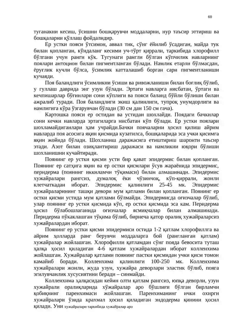 Картошкани ботаник тавсифи ва биологик хусусиятлари 2