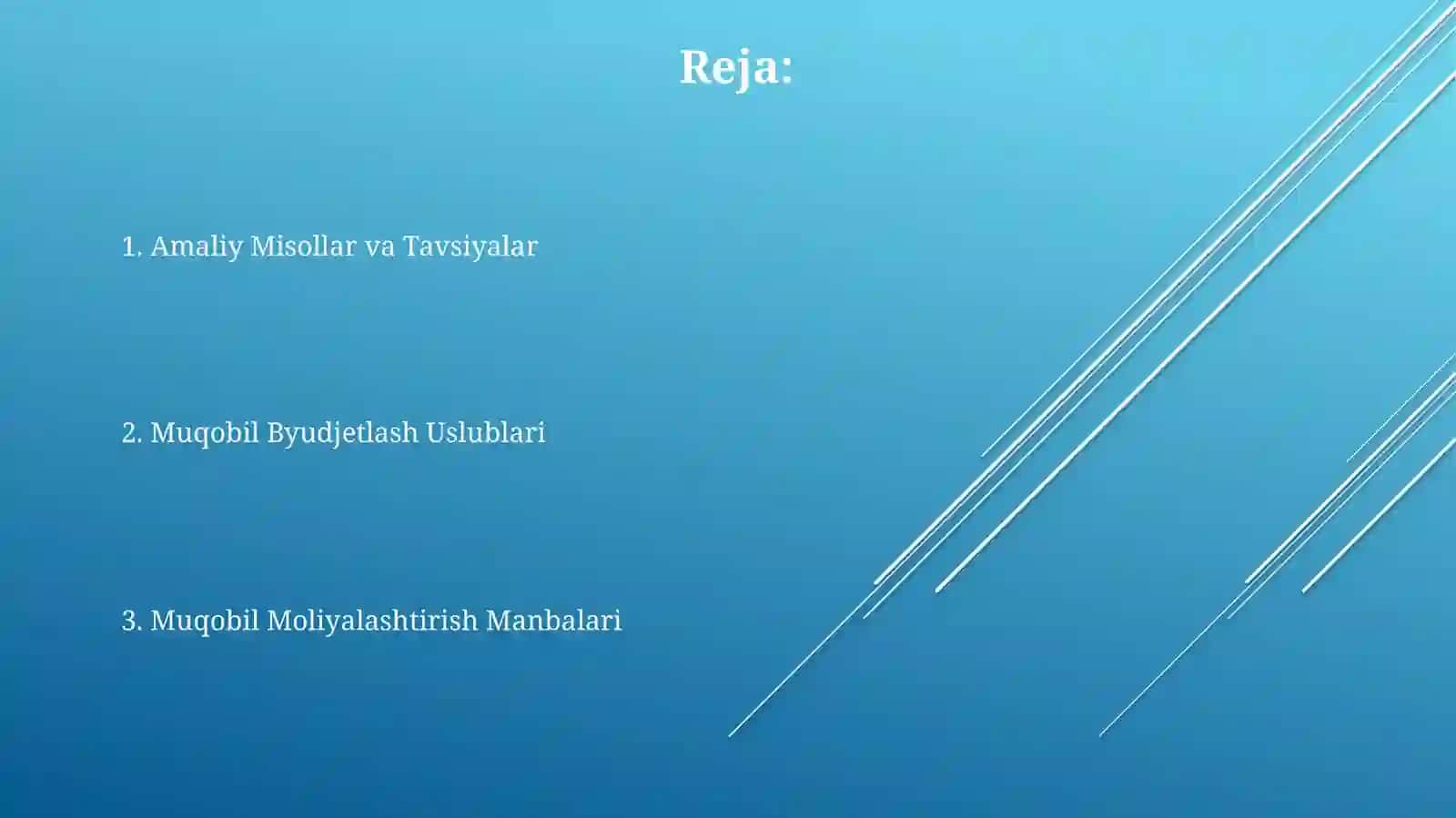 Byudjetdan moliyalashtirishning eng muqobil yo'llarini joriyetish 2