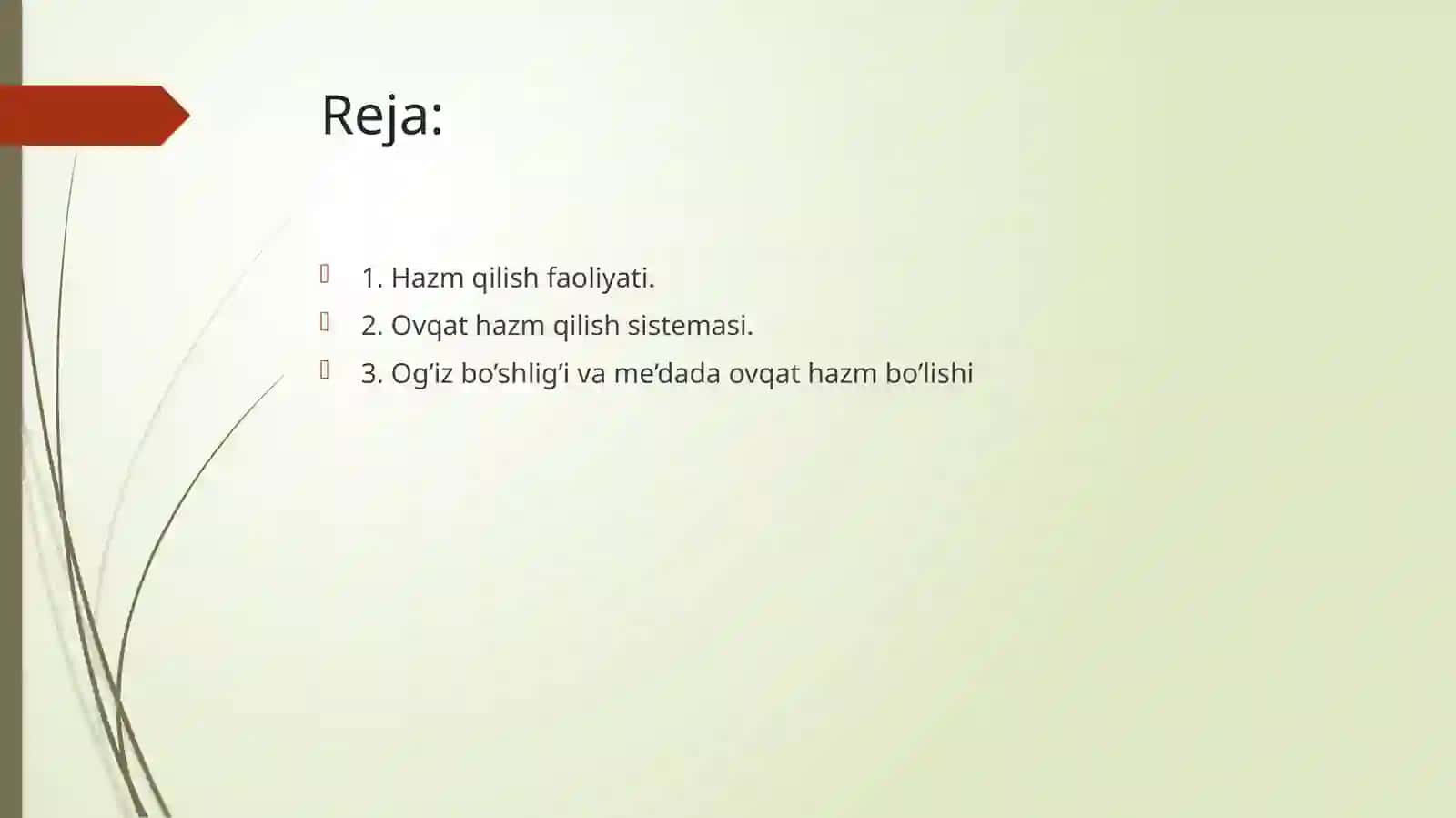 Hazm qilish faoliyati 2