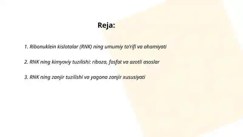 Ribonuklein kislotalar 2
