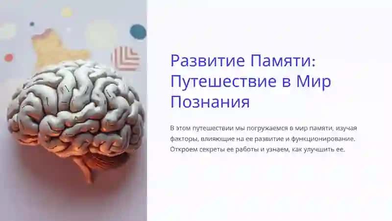 Основные факторы и условия развития памяти человека 2