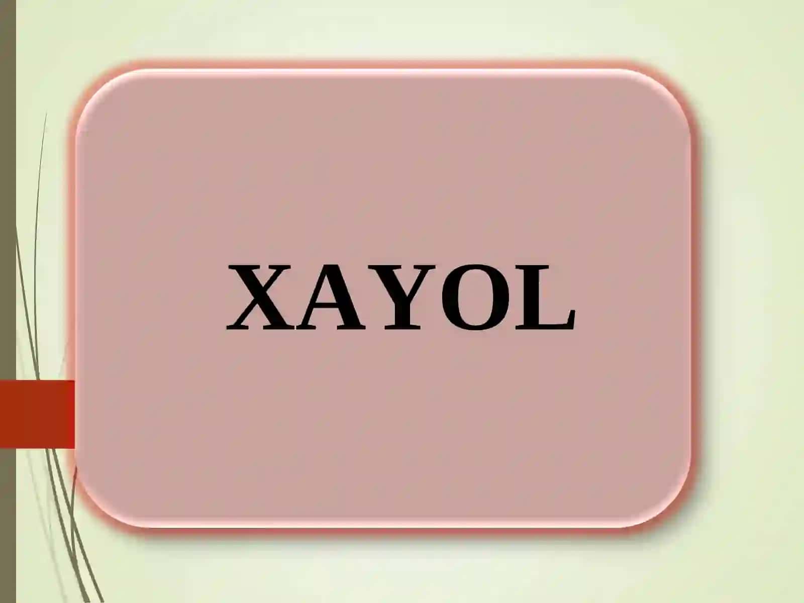 XAYOL VA XOTIRA 2