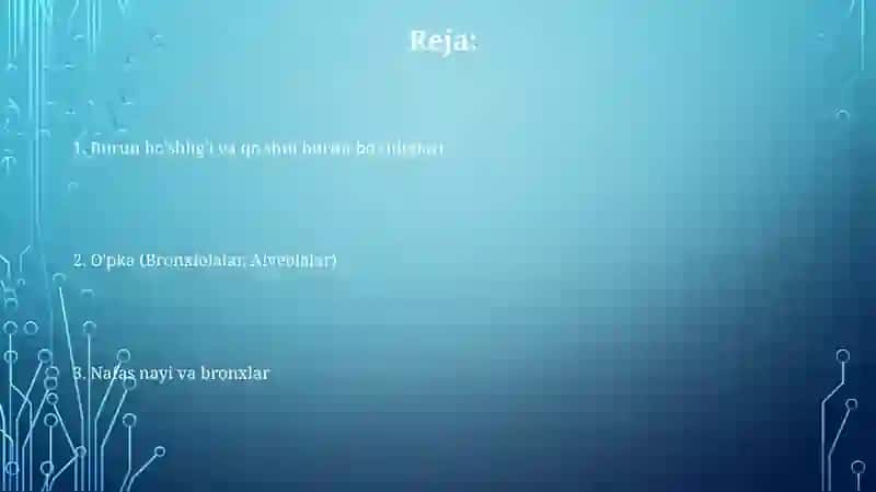 Nafas olish aʼzolarining qiyosiy gistalogik tavsifi 2