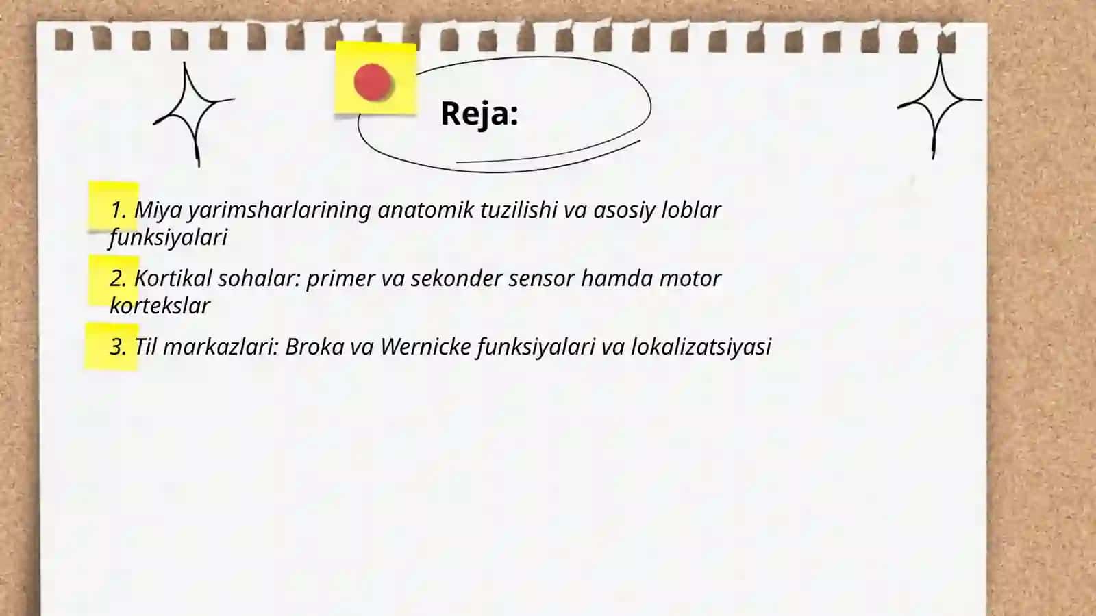 Oliy asab faoliyati. Miyya yarimsharlar faoliyati 2
