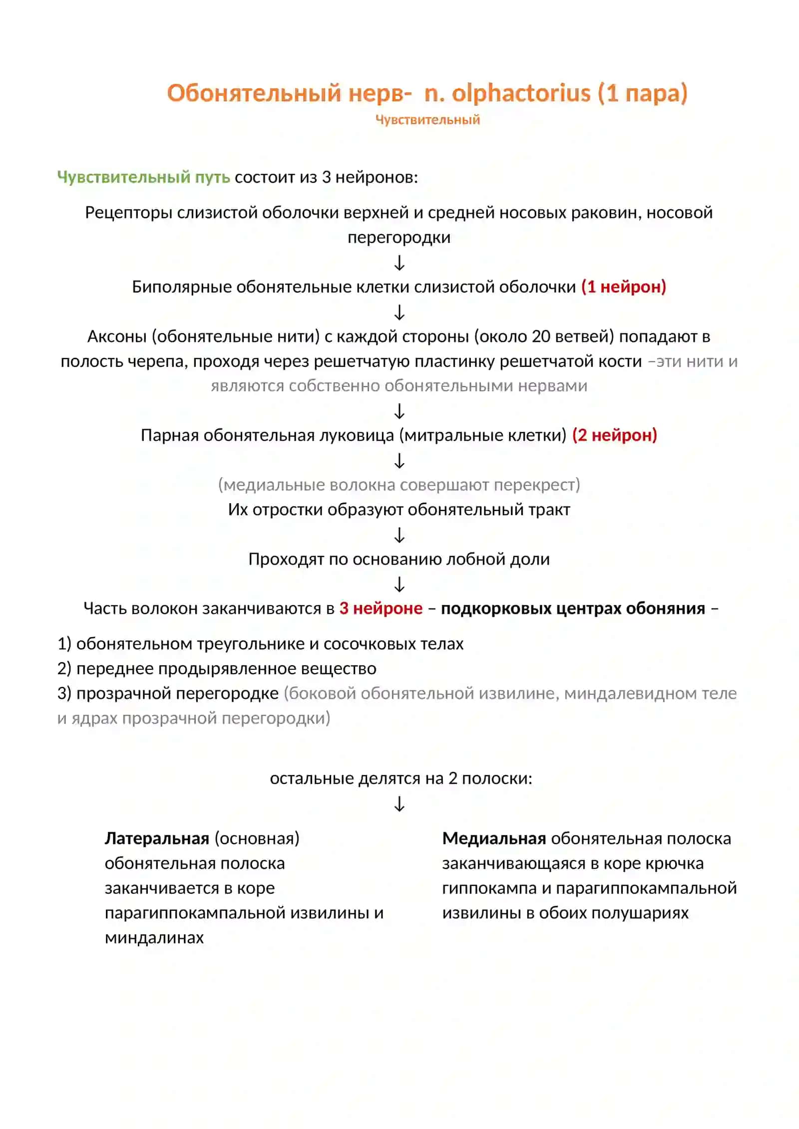 ЧМН и альтернирующий синдром 2