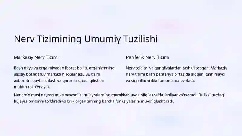 Nerv To'qimalarining Anatomik Xususiyatlari 2