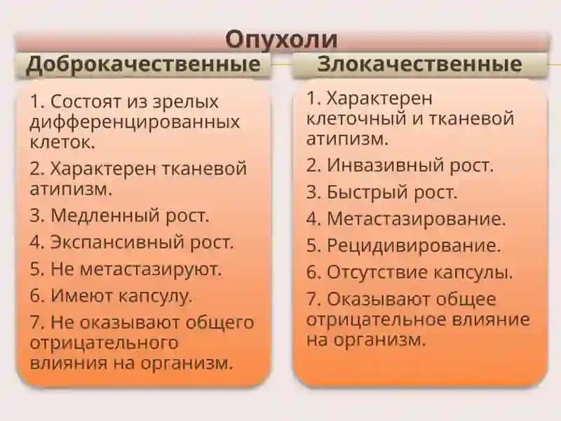Фиброма 2