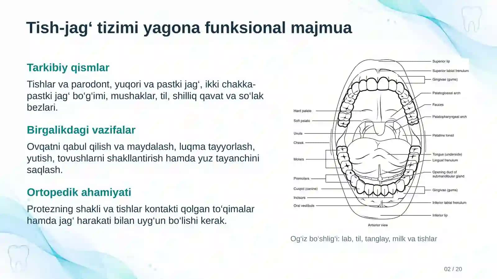 ORTOPEDIK STOMATOLOGIYA 2