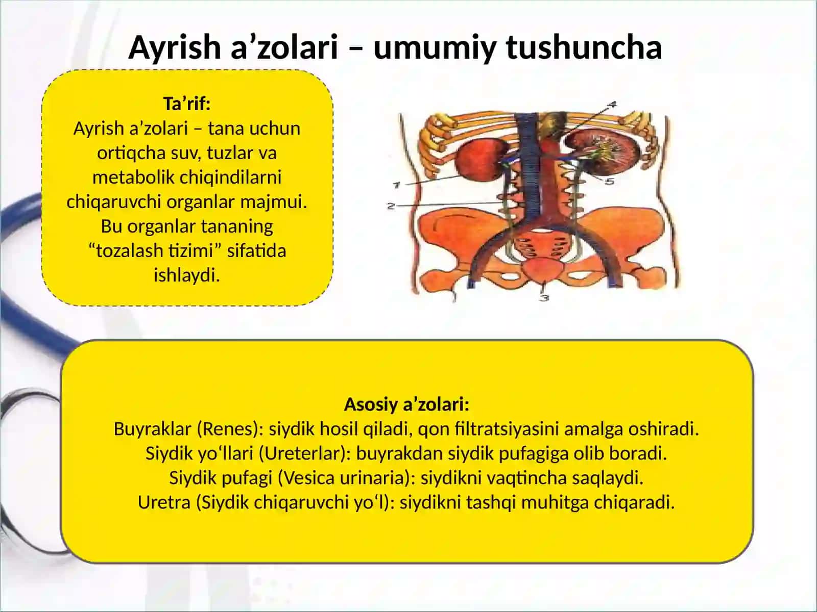 Ayrish a'zolari kasaliklari 2