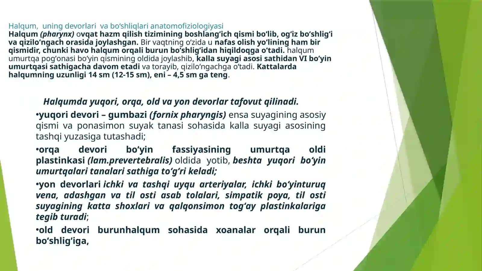 Halqumning klinik anatomiyasi. Halqum limfoadenoida] halqasining morfo-fiziologik Harakteristikasi. LOR a`zolarining yoshga qarab o*ziga xos tuzilishi, topografiyasi va bularning LOR a'zolari patologiyasida ahamiyati. Halqumni endoskopik tekshirish usullari. Faringoskopiya 2