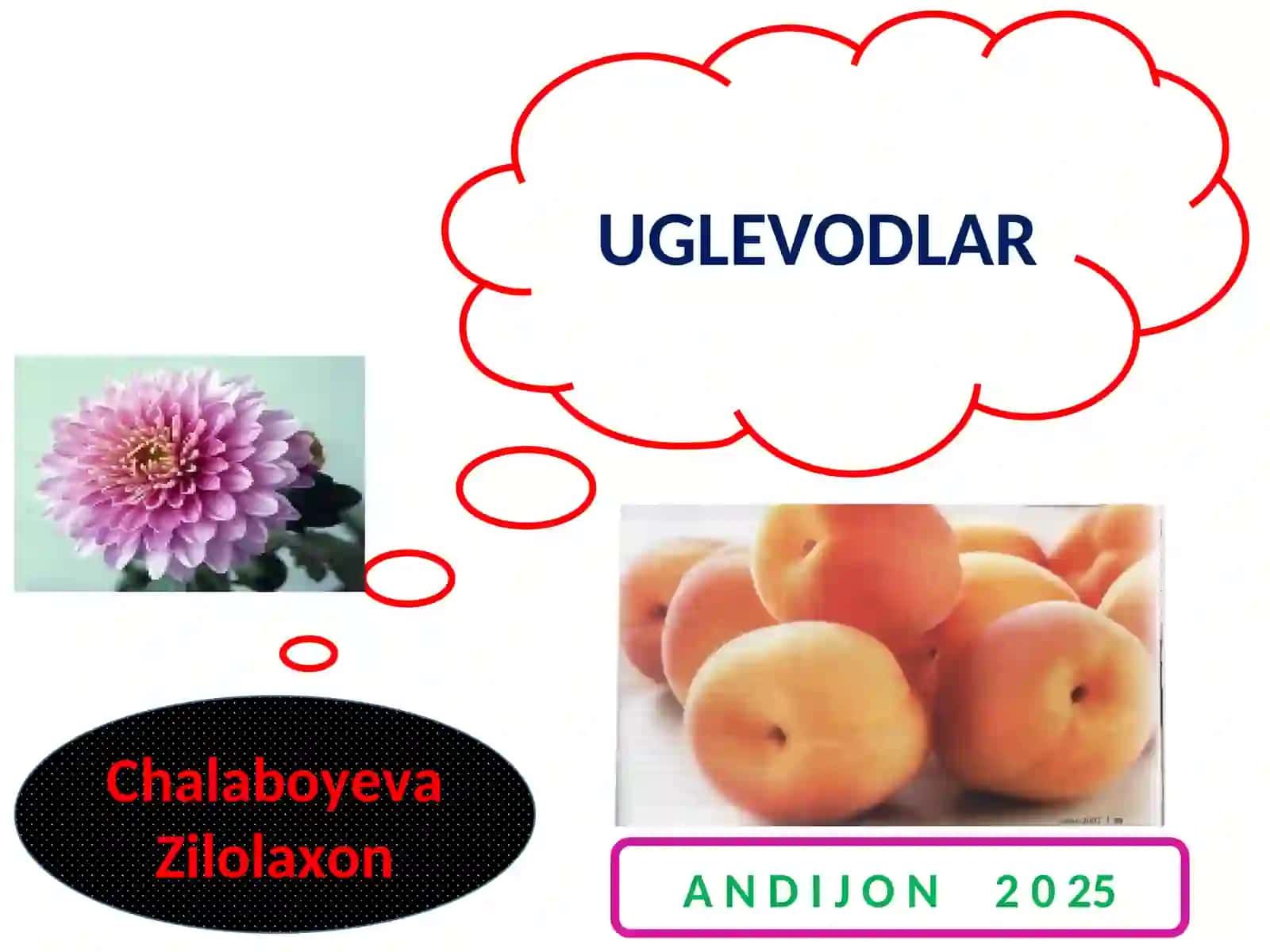 Uglevodlar 2