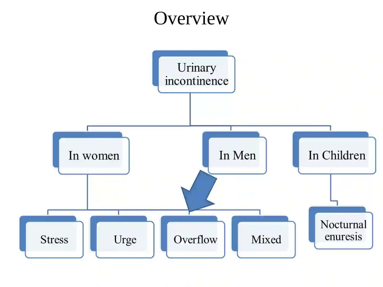 Urinary Incontinence 2