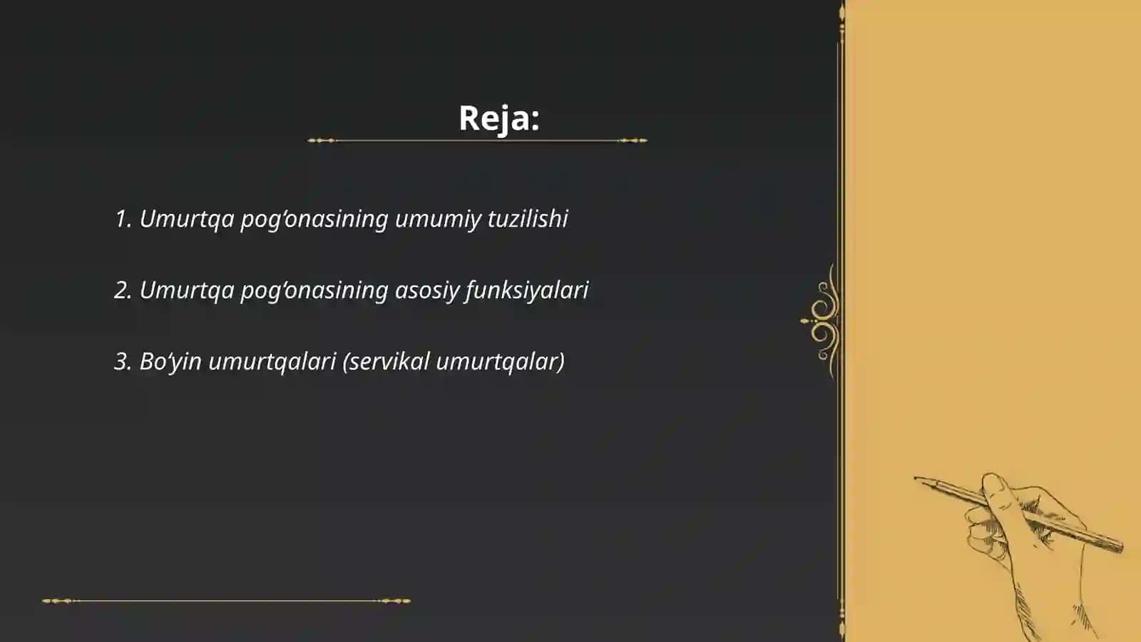Umurtqa pog‘onasining tuzilishi va o‘zaro birikuvi 2