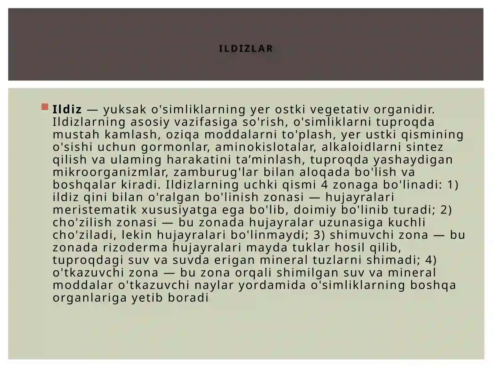 Ildiz anatomiyasi 2