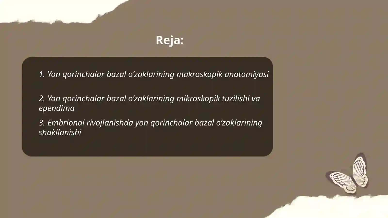 Yon qorinchalar bazal ozaklari 2