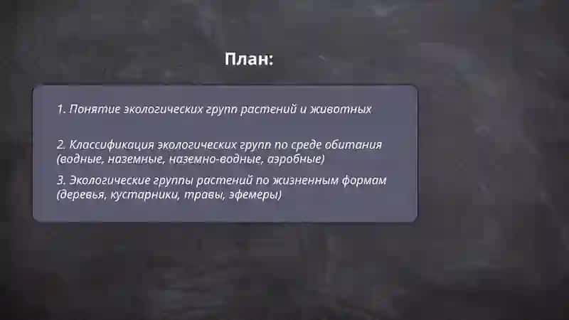Экологические группы растений и животных 2
